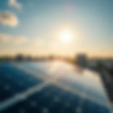 Solar panels absorbing sunlight on a rooftop.