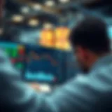 Visual representation of Level 2 data interface in Webull