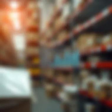 Understanding the Cost of Inventory Management Software Cost structure breakdown for software selection