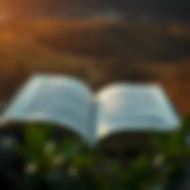 An open book symbolizing education and knowledge