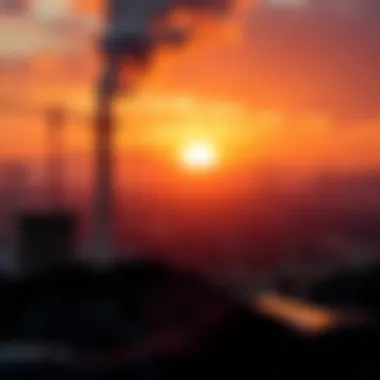 Future trends in global carbon markets