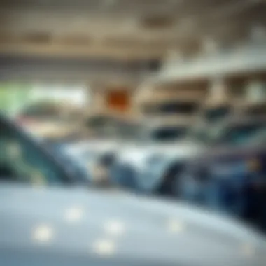 Diverse range of vehicles displayed in a showroom
