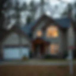 Detailed analysis of REO property features