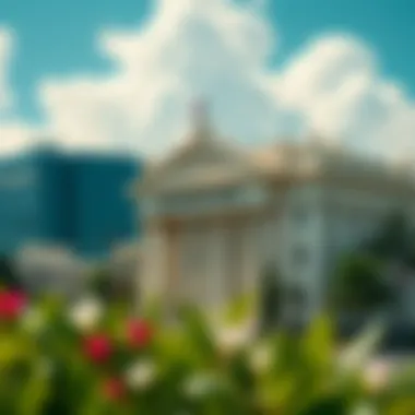 Pentagono Bank's Influence on Puerto Rico's Economic Landscape Impact of Pentagono Bank on the local economy