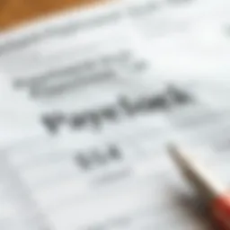 Detailed breakdown of paycheck stub