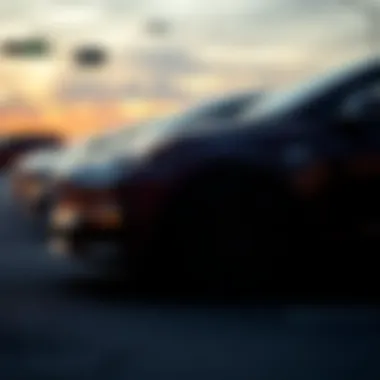 Assessing the Long-Term Value of Tesla Cars Long-Term Value of Tesla Ownership