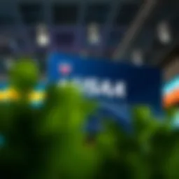 Overview of USAA Credit Card services